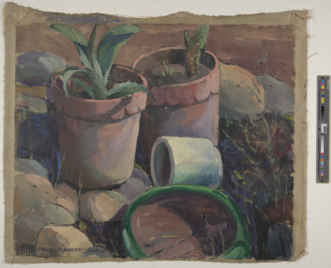 Alternate image #1 of Plants in Clay Pots