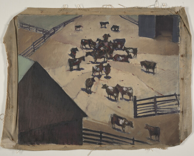 Cows in Corral