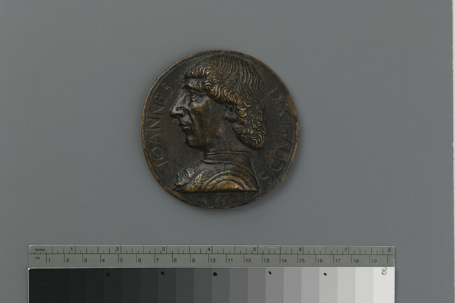 Alternate image #3 of Giovanni Gaddi, Prior of Florence (obverse); Hooded Falcon (reverse)