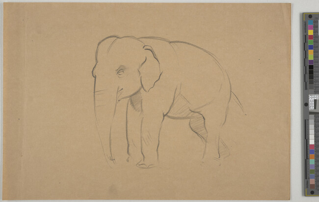 Alternate image #1 of Sketch of an elephant