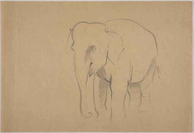 Sketch of an elephant