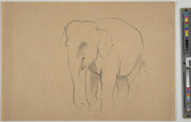 Alternate image #1 of Sketch of an elephant