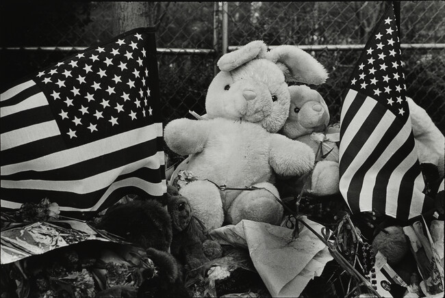Stuffed Animals and Flags, New York City