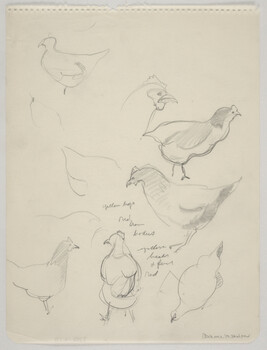 Sketches of chickens with color notations [study for Beaver Meadow, 1938]