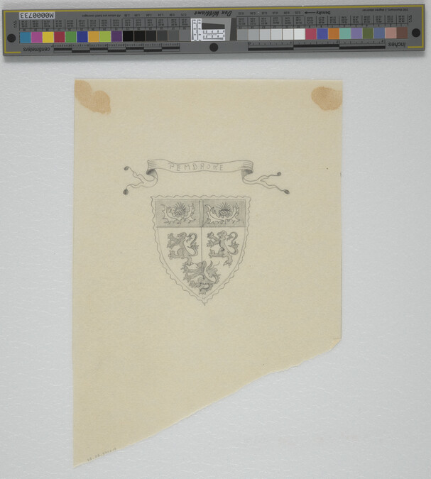 Alternate image #1 of Untitled (Pembroke School Crest)