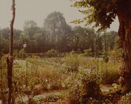 Giverny: Trees and Green Trestles