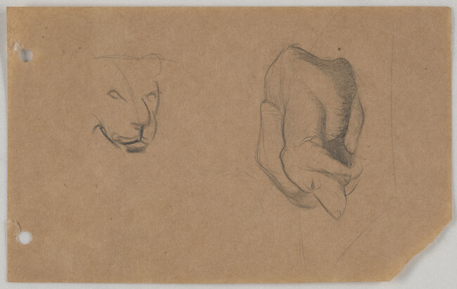 Sketch of Irish Setter and lion head