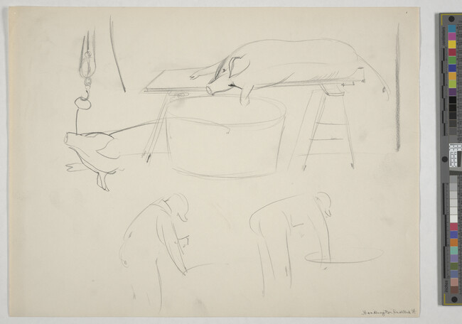 Alternate image #1 of Two sketches of man bending over tub, one sketch of pig head hanging from meat hook, and sketch of dead pig lying on butcher block over tub