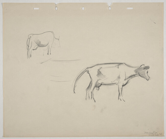 Two sketches of cows