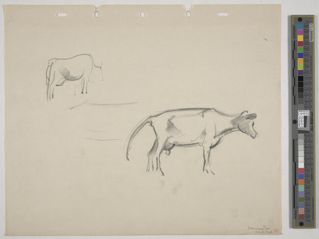 Alternate image #1 of Two sketches of cows