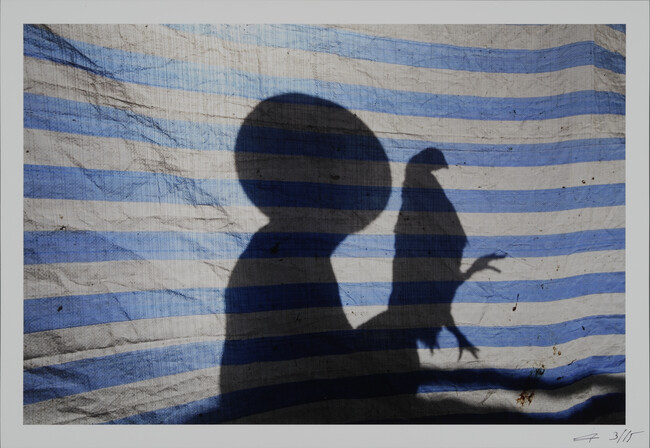 Kaparot, Mea Shearim (Blue striped fabric and shadow), fromt he portfolio Hide. and Seek.