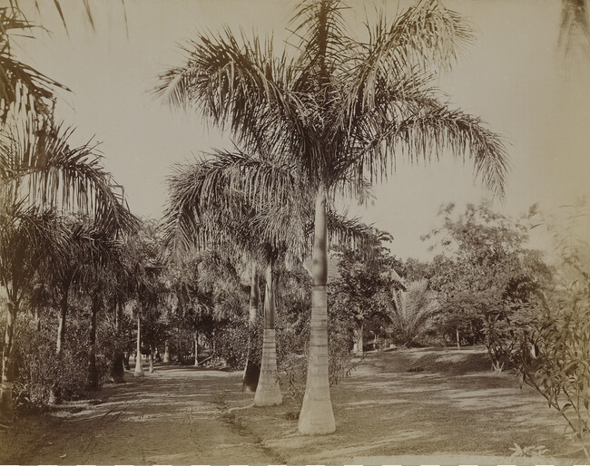 Residence of Sanford B. Dole. O'ahu, Hawaii, from a Travel Photograph Album (Views of Hawaii and Japan)