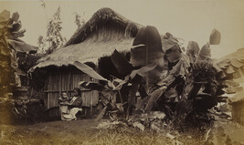 Woman and child in front of a Japanese house. Hilo, Hawaii (island), Hawaii, from a Travel Photograph...