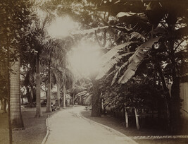 Residence of Dr. James S. McGrew. Honolulu, O'ahu, Hawaii, from a Travel Photograph Album (Views of...