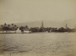 View of a Hawaiian coastline, from a Travel Photograph Album (Views of Hawaii and Japan)