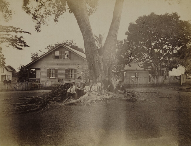 Men and children below a rubber tree. Hilo, Hawaii (island), Hawaii, from a Travel Photograph Album (Views of Hawaii and Japan)