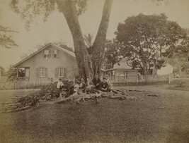 Men and children under a rubber tree. Hilo, Hawaii (island), Hawaii, from a Travel Photograph Album...