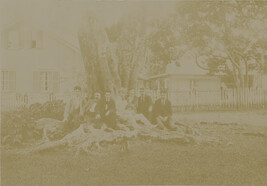 Men and child under a rubber tree. Hilo, Hawaii (island), Hawaii, from a Travel Photograph Album (Views...