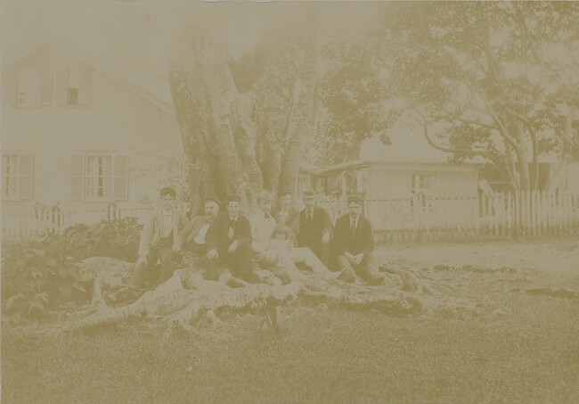 Men and child under a rubber tree. Hilo, Hawaii (island), Hawaii, from a Travel Photograph Album (Views of Hawaii and Japan)