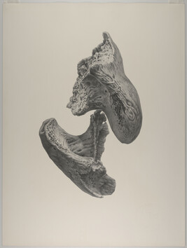 Untitled (Trocanters from Wolf and Deer thigh bones); from the Wikondiwin Series