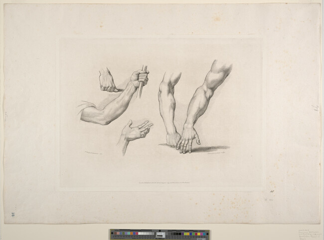 Alternate image #1 of Untitled (Study of Arms and Hands) from Elements of Drawings
