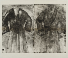 Two Robes (ferns, acid and water) (Diptych)