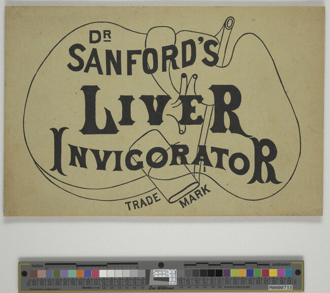 Alternate image #1 of Dr. Sanford's Liver Invigorator