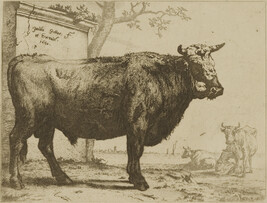 Le Taureau (The Bull)