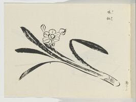 Untitled (Daffodil), from Japanese Brush Ink Work, Series 1 - 16 (Booklet 
