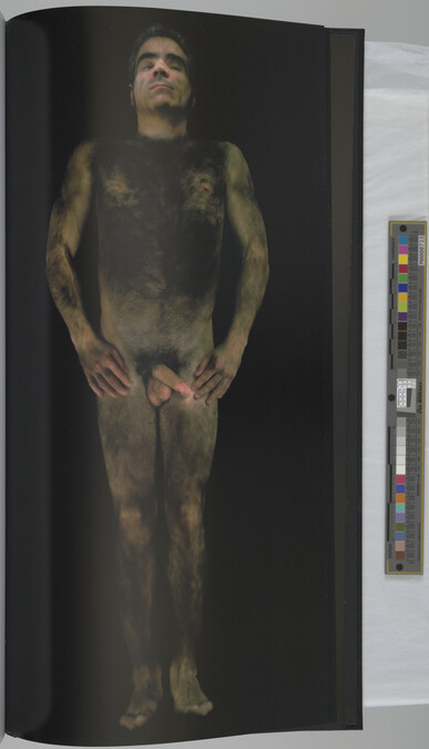 Alternate image #24 of Gary Schneider: Nudes