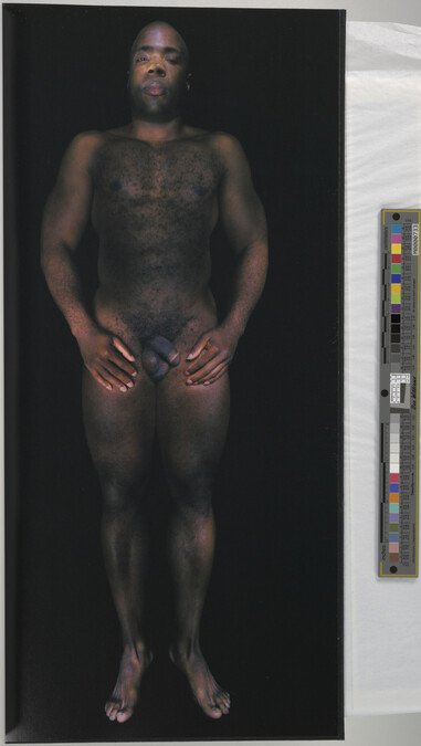 Alternate image #67 of Gary Schneider: Nudes