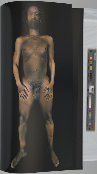 Alternate image #18 of Gary Schneider: Nudes