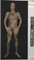 Alternate image #65 of Gary Schneider: Nudes