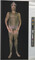 Alternate image #61 of Gary Schneider: Nudes