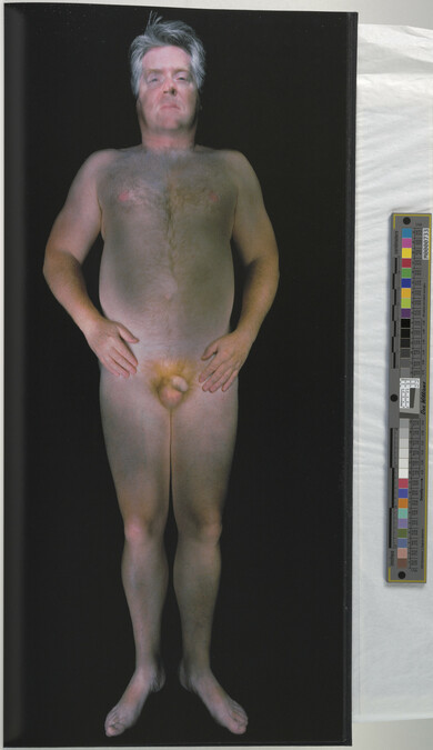 Alternate image #59 of Gary Schneider: Nudes