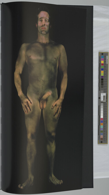 Alternate image #10 of Gary Schneider: Nudes