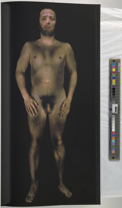 Alternate image #45 of Gary Schneider: Nudes