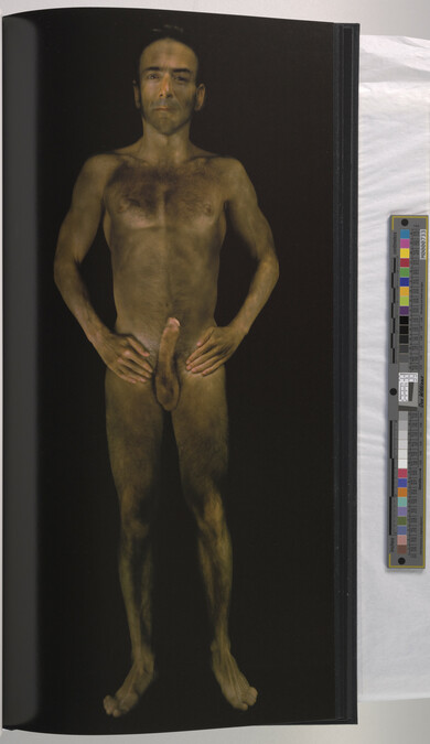 Alternate image #40 of Gary Schneider: Nudes