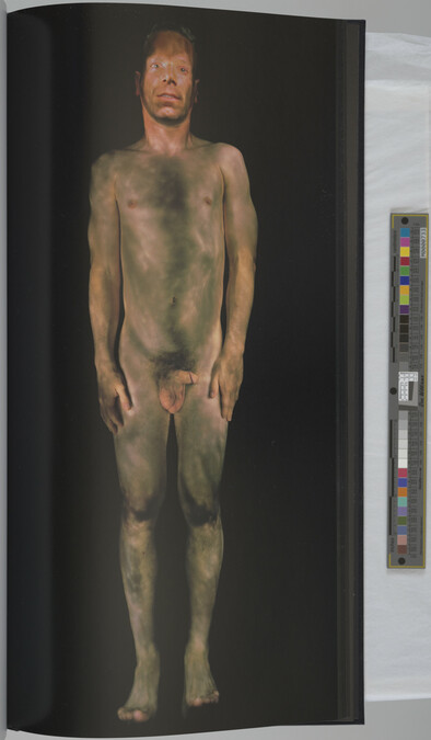 Alternate image #36 of Gary Schneider: Nudes