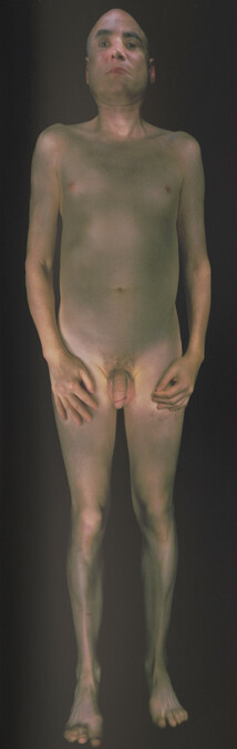Alternate image #29 of Gary Schneider: Nudes