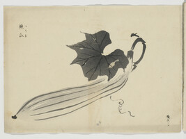 Untitled (Squash), from Japanese Brush Ink Work, Series 1 - 16 (Booklet 