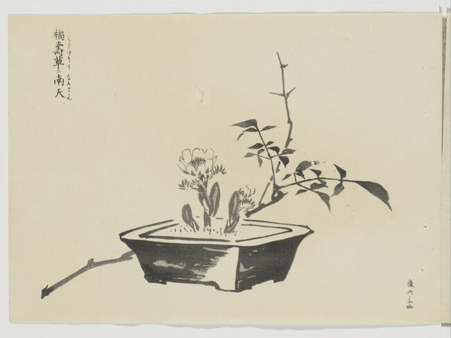 Untitled (Flowers in a Planter with Branch), from Japanese Brush Ink Work, Series 1 - 16 (Booklet 
