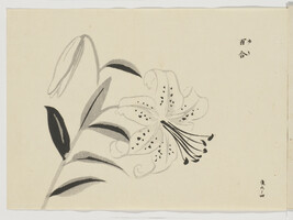 Untitled (Lily), from Japanese Brush Ink Work, Series 1 - 16 (Booklet 