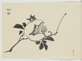 Untitled (Flower), from Japanese Brush Ink Work, Series 1 - 16 (Booklet 