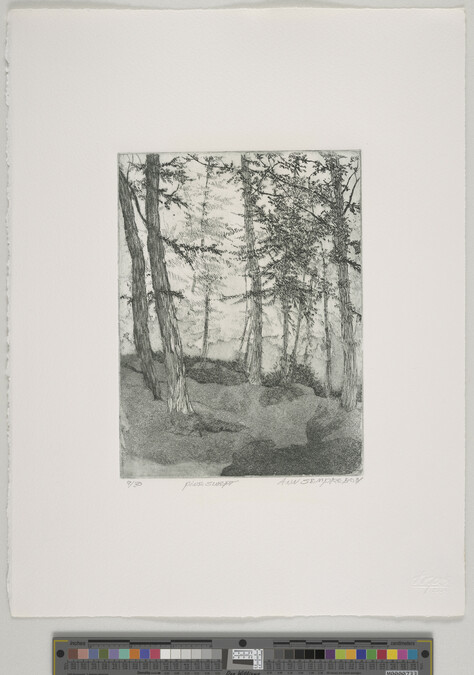 Alternate image #1 of Pineswept, from Portfolio 2004