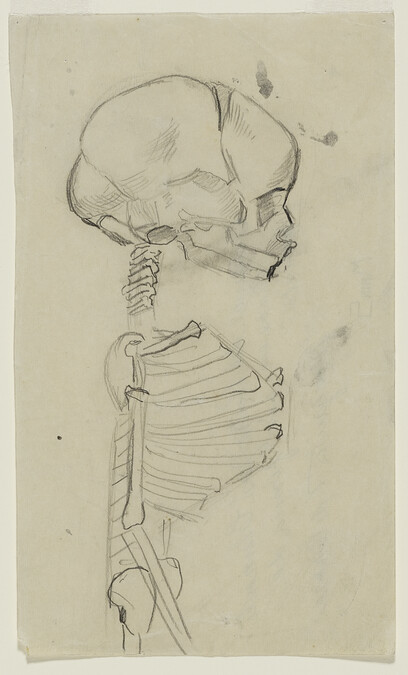 Study of fetal skeleton in profile for Gods of the Modern World (Panel 15) for The Epic of American Civilization, 1932-1934