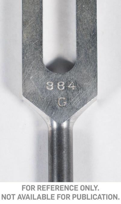 Alternate image #2 of Tuning Fork