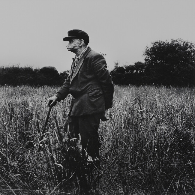 Old Man in a Field, Sligo, 1965, from the book W. B. Yeats, Under the Influence