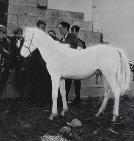 Ballinasloe Horse Fair, Galway, 1965, from the book W. B. Yeats, Under the Influence