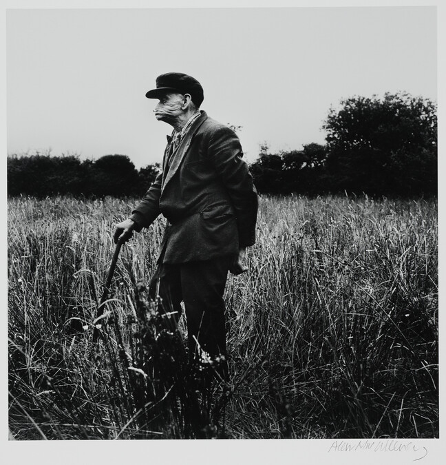 Old Man in a Field, Sligo, 1965, number 11 of 14, from the portfolio, Under the Influence